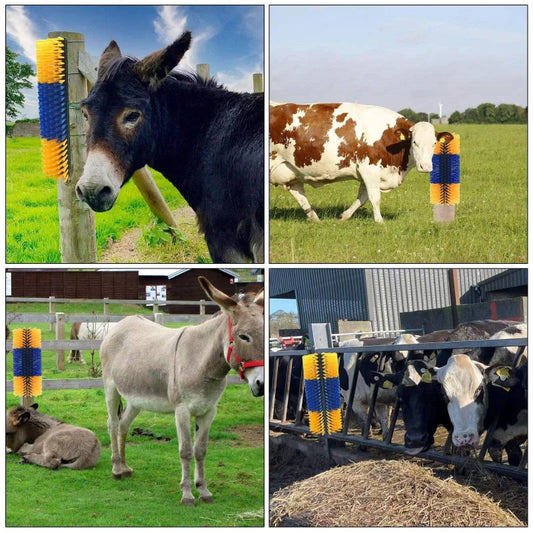 Collage of donkeys and cows interacting with a blue and yellow striped object in a farm setting.