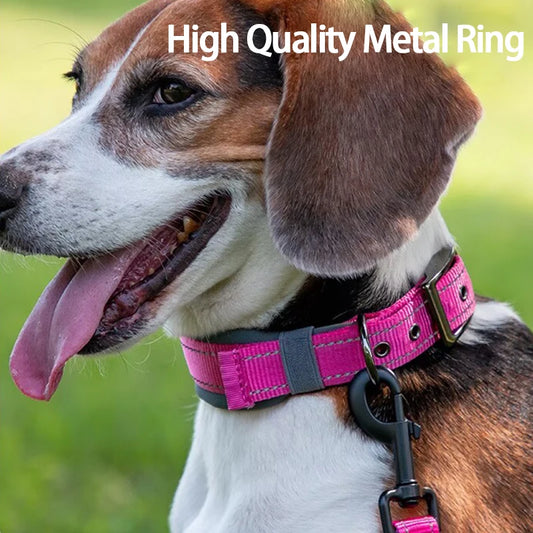 Dog wearing a pink metal collar with a green background
