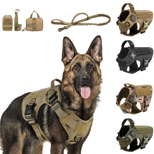 Dog wearing a tactical harness with various other harnesses and accessories displayed around on a white background.
