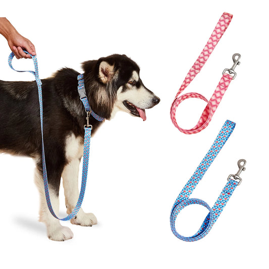 Dog standing on a blue leash with a pink and blue patterned leash in the background.