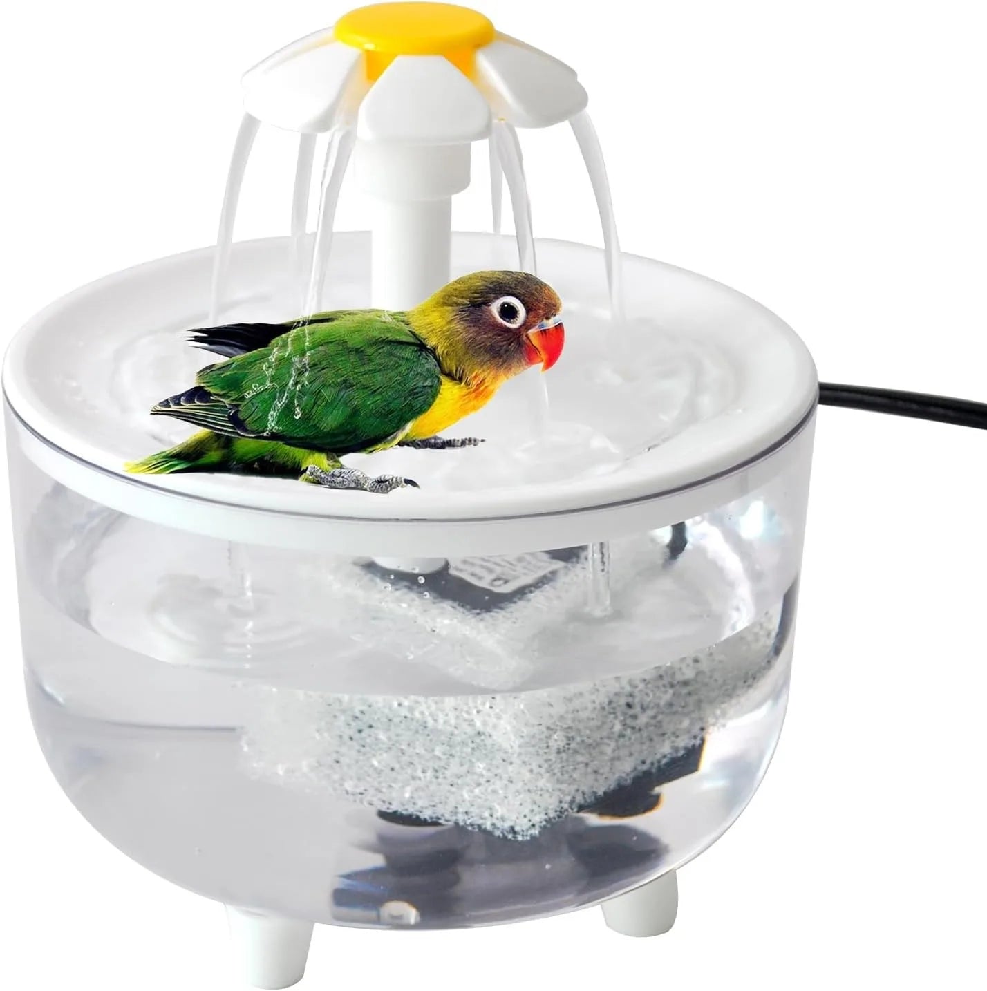 Indoor automatic Bird Shower