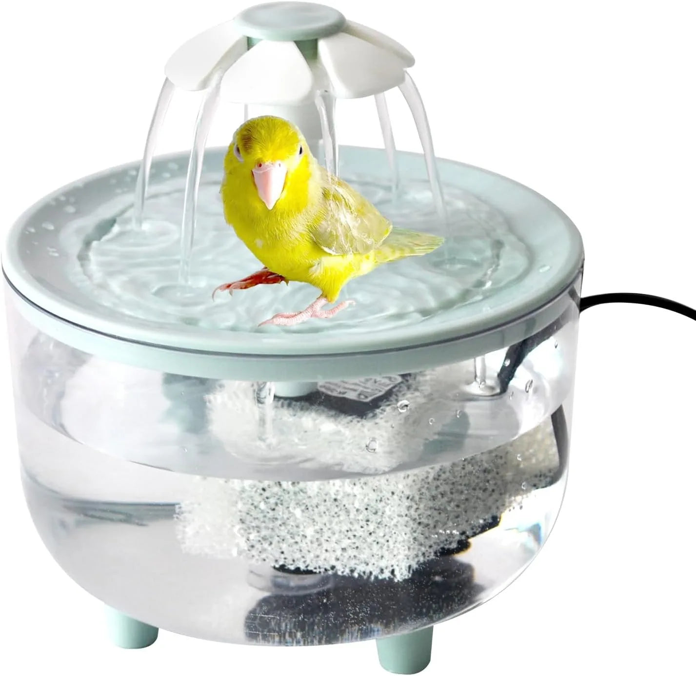 Indoor automatic Bird Shower