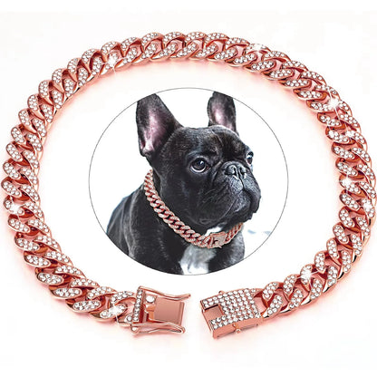 Rose gold chain dog collar with a black French Bulldog wearing it on a white background