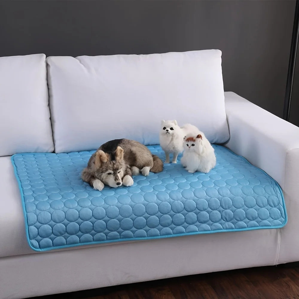 Blue pet mat on a white couch with two small dogs and a cat.