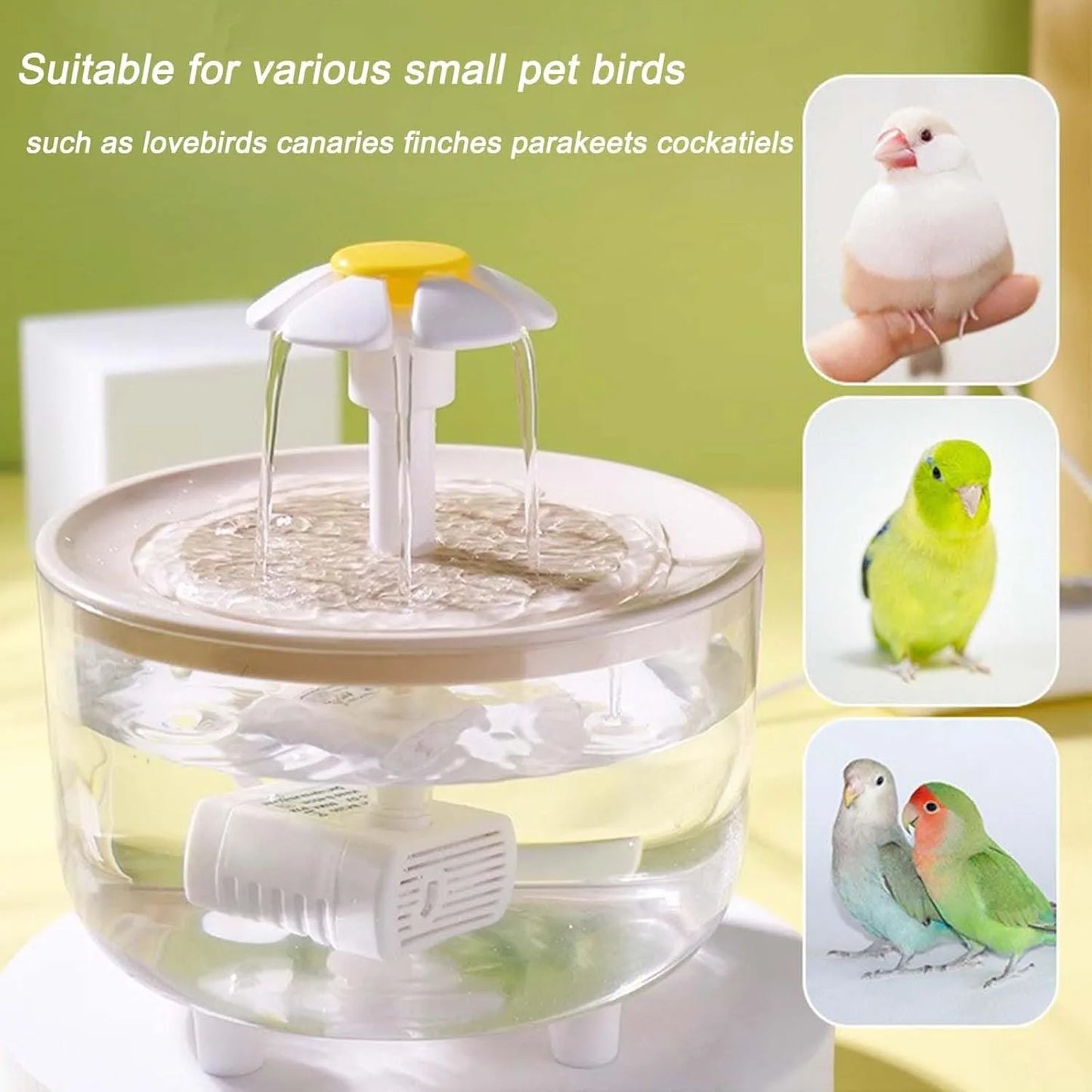 Indoor automatic Bird Shower