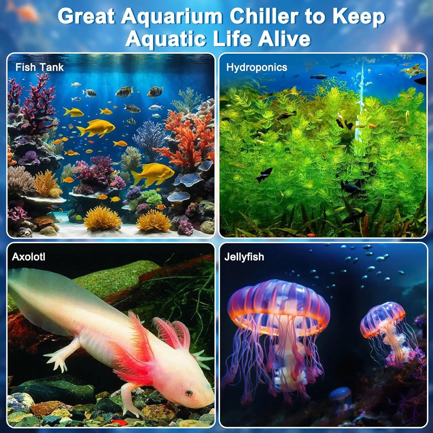 Aquarium Chiller for Fish Tank 79Gal Hydroponic with Remote Control