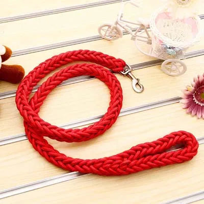 Red braided leash on a wooden surface with decorative items.