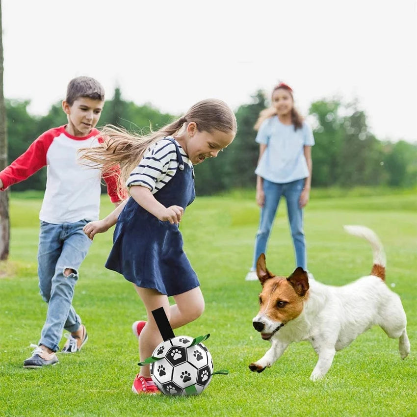 Dog Toy Interactive Pet Football Toys with Grab Tabs