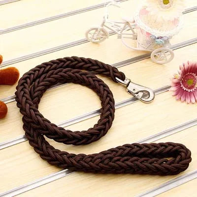 Brown braided dog leash on a light wooden surface with decorative elements.