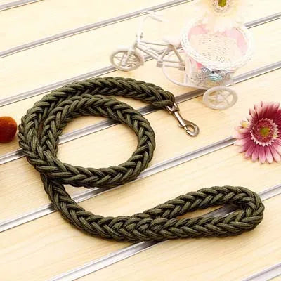 Green braided leash on a light wooden surface with decorative elements.