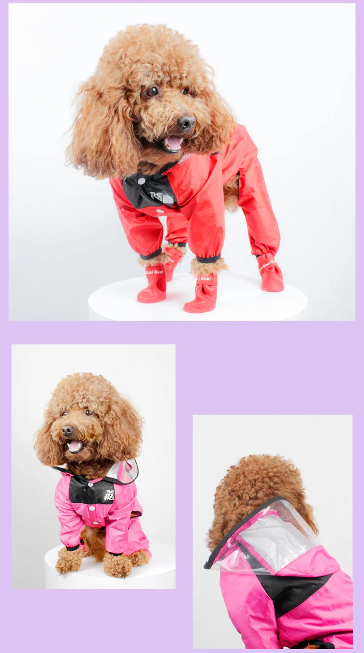 Pet Dog Raincoat