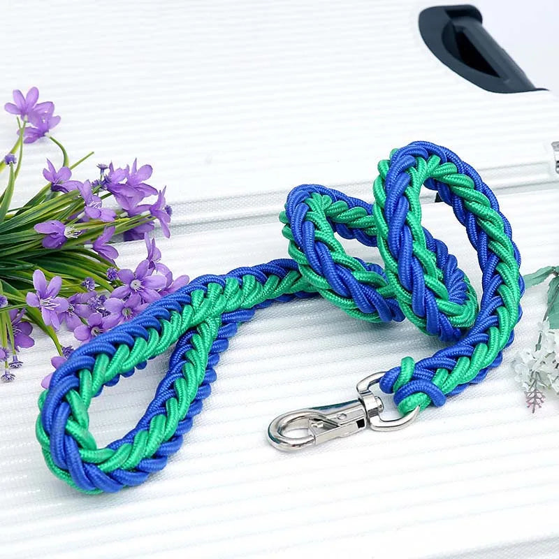 Blue and green braided leash with a metal clip on a white background with purple flowers.