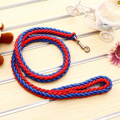 Red and blue braided leash on a light wooden surface with decorative elements.