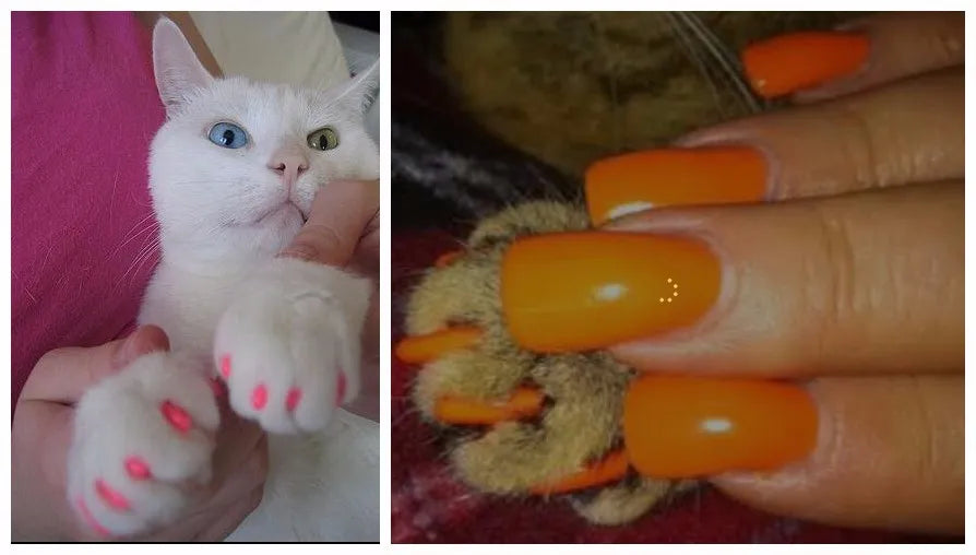 Cat Nail Protector Cover With Free Adhesive Glue + Applicator  20pcs/lot for Kitten