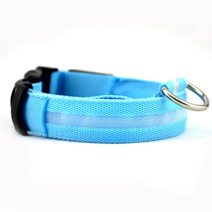 Leopard LED Dog Collar Luminous Adjustable Glowing Collar