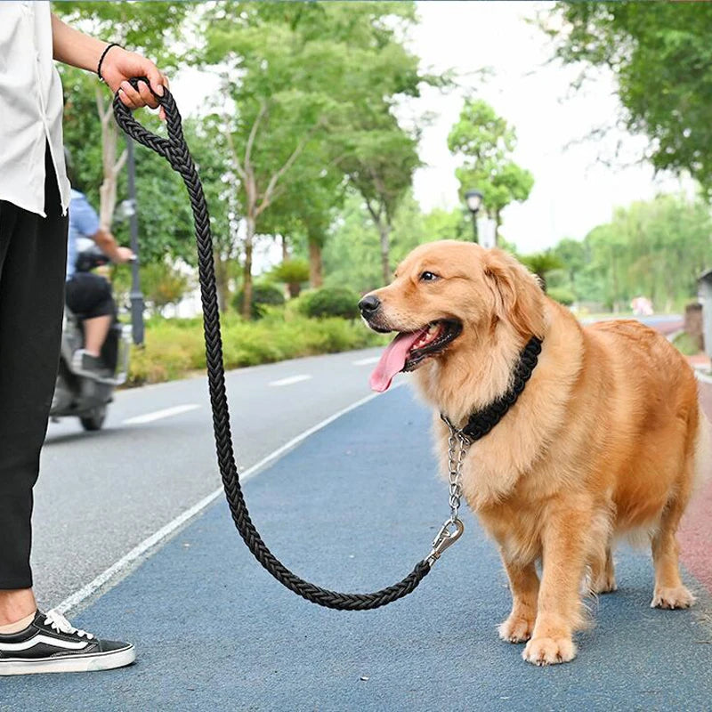 Dog on a leash being walked on a path with trees in the background