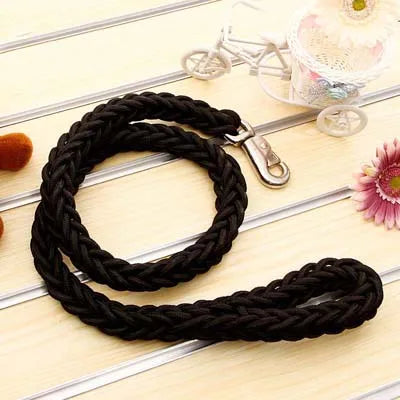 Black braided dog leash on a wooden surface with decorative items.