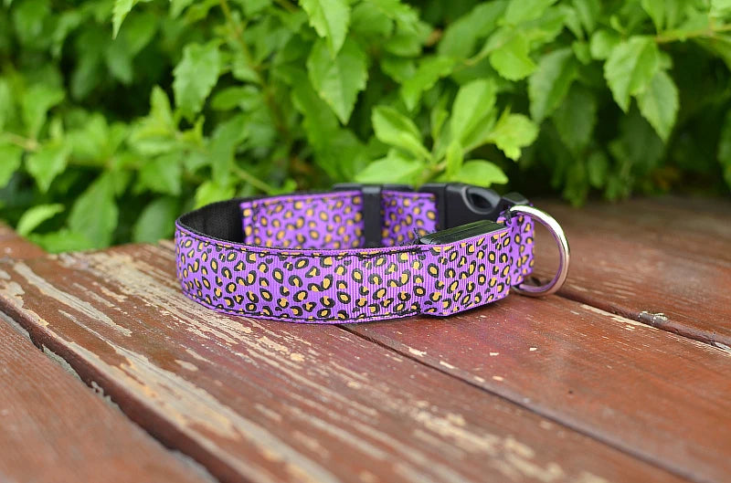 Leopard LED Dog Collar Luminous Adjustable Glowing Collar
