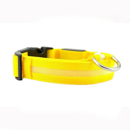 Leopard LED Dog Collar Luminous Adjustable Glowing Collar