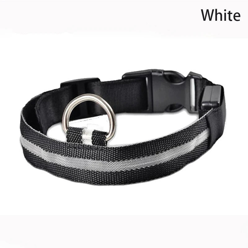 Leopard LED Dog Collar Luminous Adjustable Glowing Collar