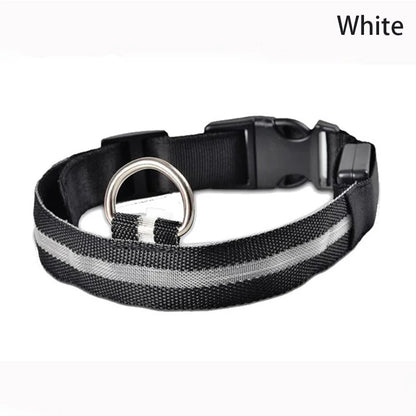 Leopard LED Dog Collar Luminous Adjustable Glowing Collar