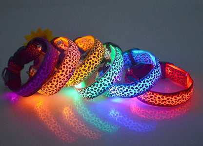 Leopard LED Dog Collar Luminous Adjustable Glowing Collar
