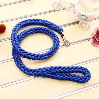 Blue braided leash on a light wooden surface with decorative items.
