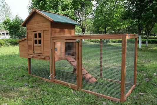 Wooden chicken coop with a green roof in a grassy outdoor setting
