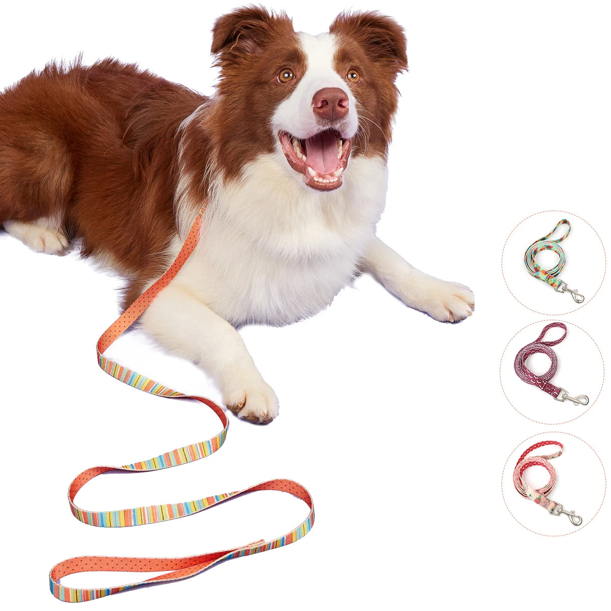 Colorful Silk-Print Cat & Dogs Lead Rope Fashion Nylon Dog Leashes