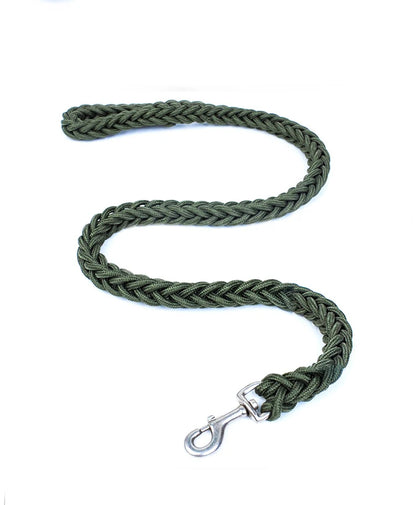 Green braided dog leash with a metal clip on a white background