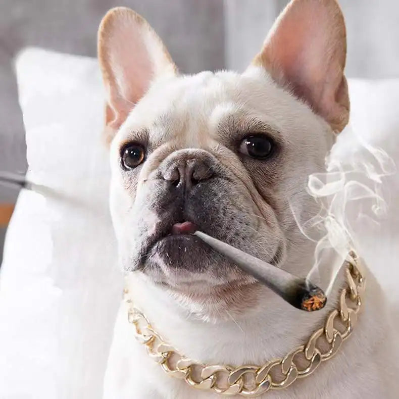 Luxury Collar Gold Dog Chain Choker For Pitbull Bulldog Teddy French Bulldog