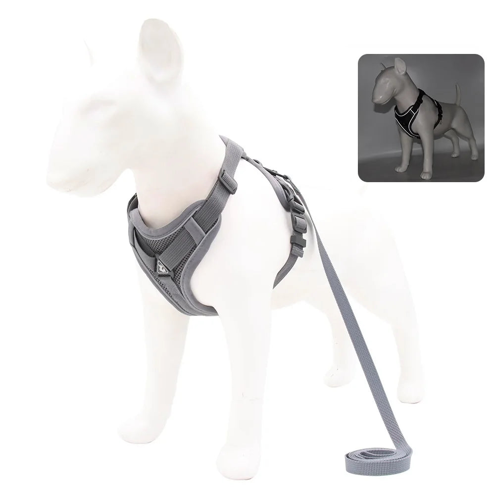 Harness and Leash Set For Small Dog French Bulldog Pug Pitbull Puppy