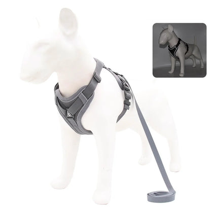 Harness and Leash Set For Small Dog French Bulldog Pug Pitbull Puppy