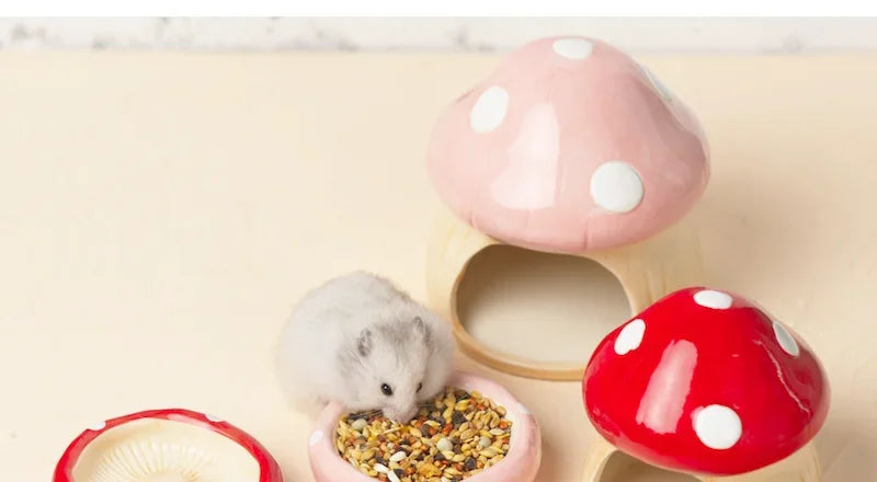 A small white hamster is shown eating from a mushroom-shaped bowl in a cozy indoor setup. Two mushroom hidehouses, one pink and one red, are visible behind it on a light beige surface.
