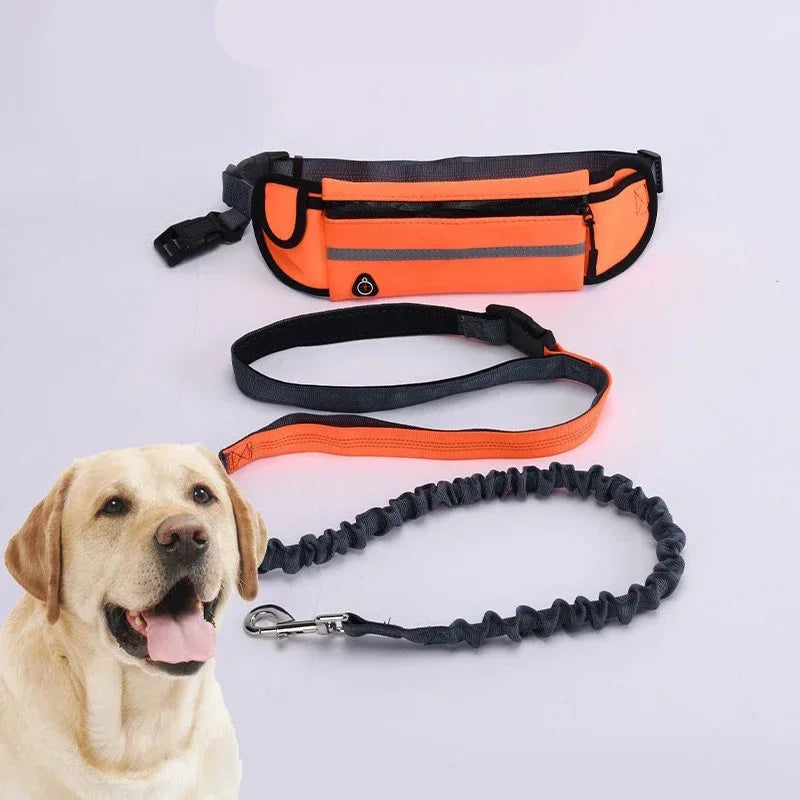 Hands Free Dog Reflective Leash with Waist Bag