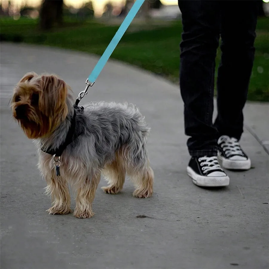 1pc Car Belt, Dog Cat Car Leash, Retractable Backseat Tether