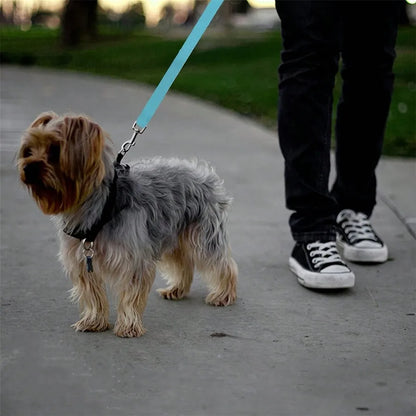 1pc Car Belt, Dog Cat Car Leash, Retractable Backseat Tether