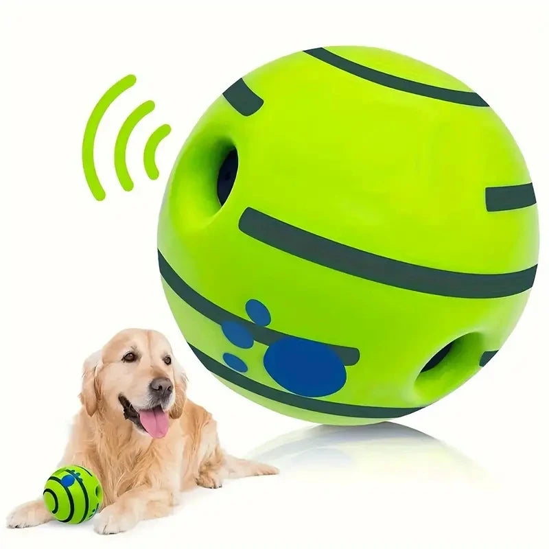 Dog playing with a large green and black ball on a white background