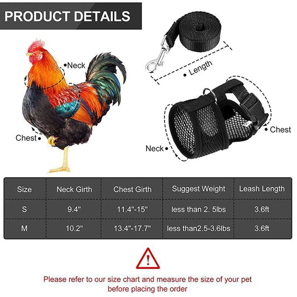 Rooster with a black leash and product details on a white background