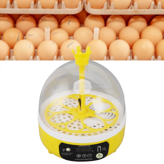 Yellow egg incubator with a background of eggs on shelves