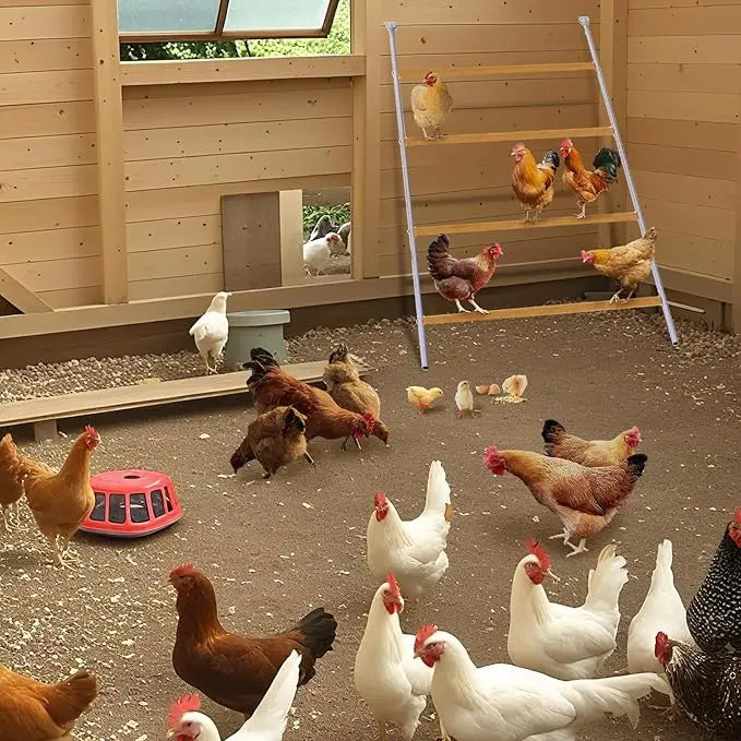 Chicken Perch for Coop with Ladder Design, Weatherproof Roosting Bars for Chickens, Durable Hen Coop Access for Backyard Poultry
