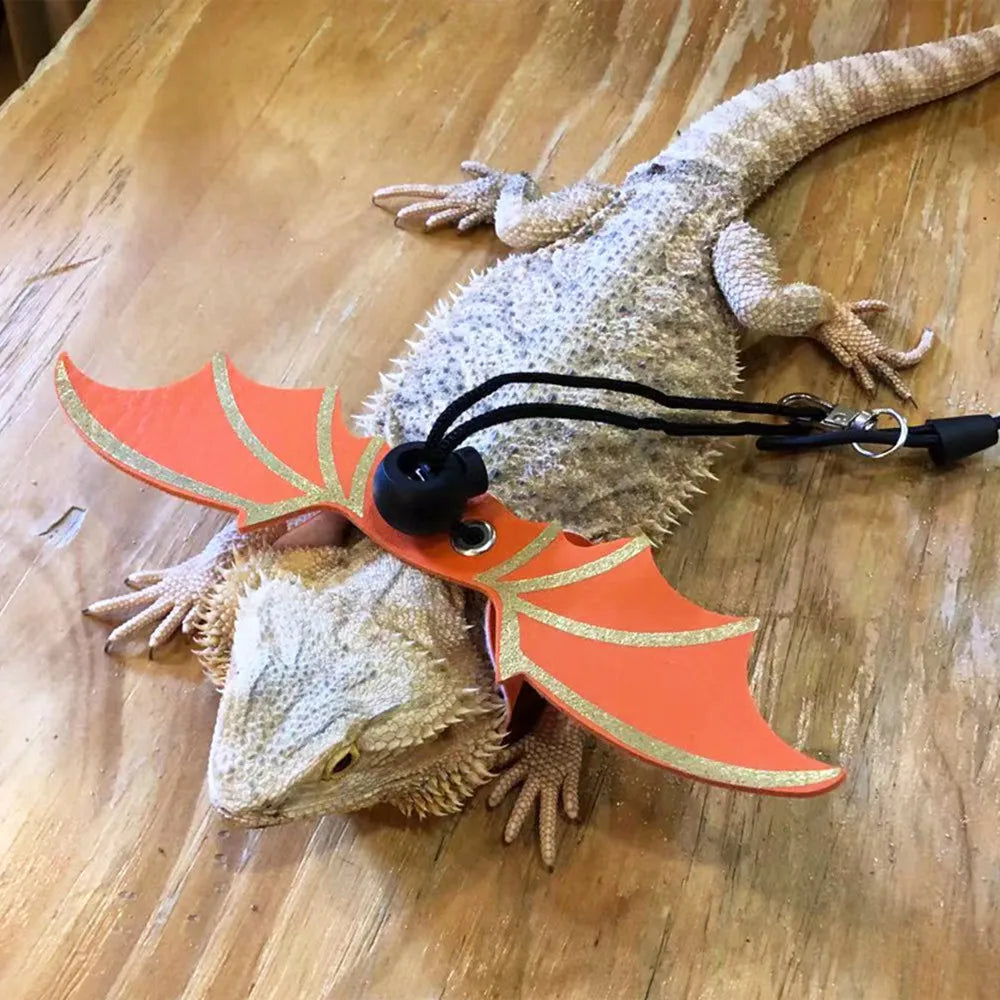 3 Pcs Adjustable Bearded Dragon Leash With Bat Wings Lizard Harness