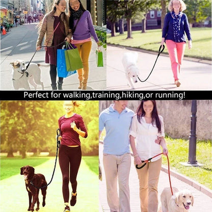 Collage of people walking dogs on leashes with text 'Perfect for walking, training, hiking, or running!'.