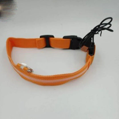 An orange reflective safety strap with black plastic buckles and a black cord, shown on a plain light background.