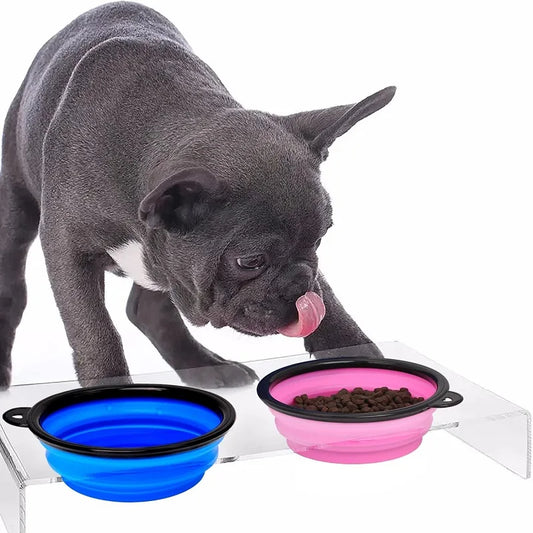 Dog drinking from a blue silicone cup with two other silicone cups, one pink and one black, on a clear stand.