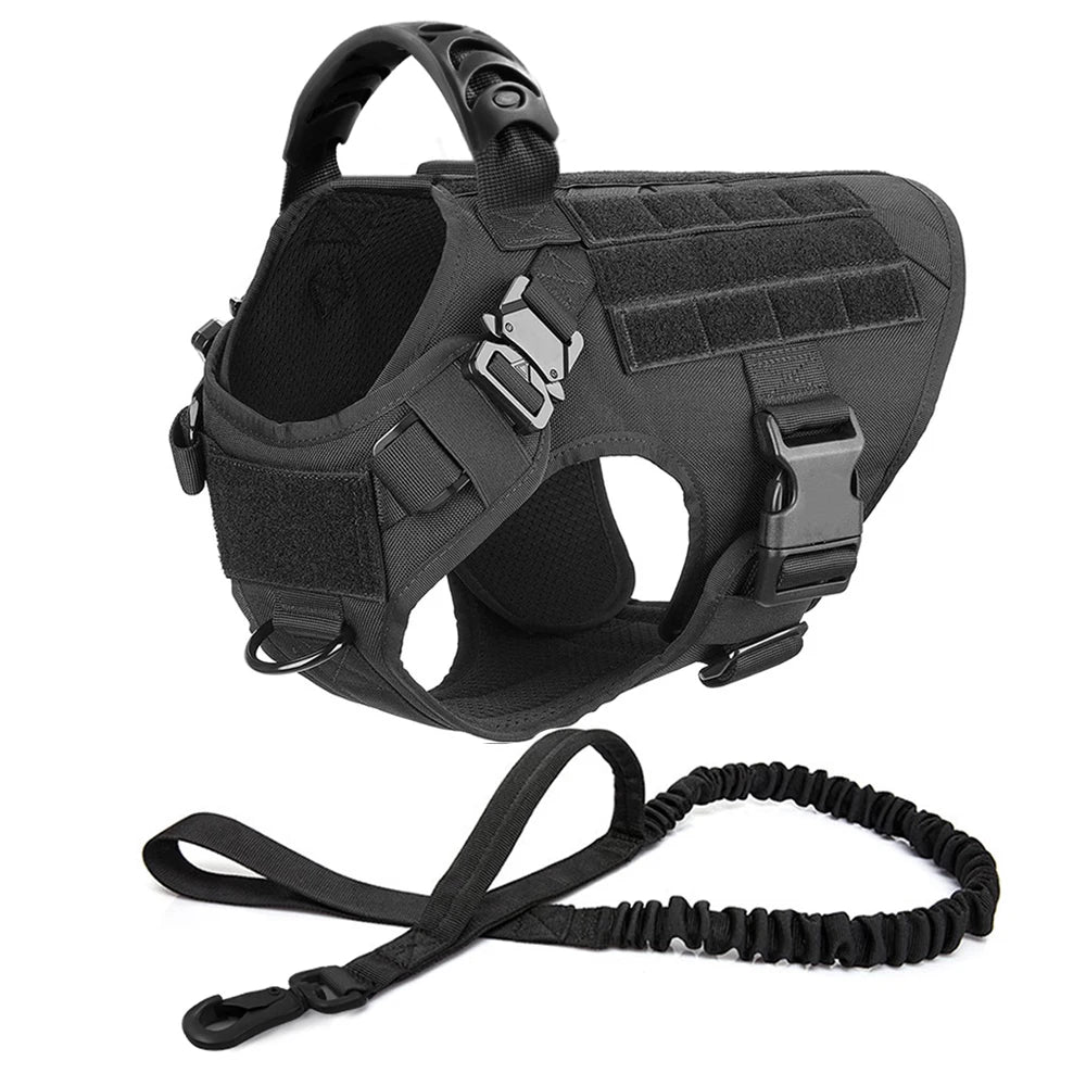 Black tactical dog harness with a leash on a white background