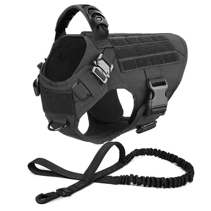 Black tactical dog harness with a leash on a white background