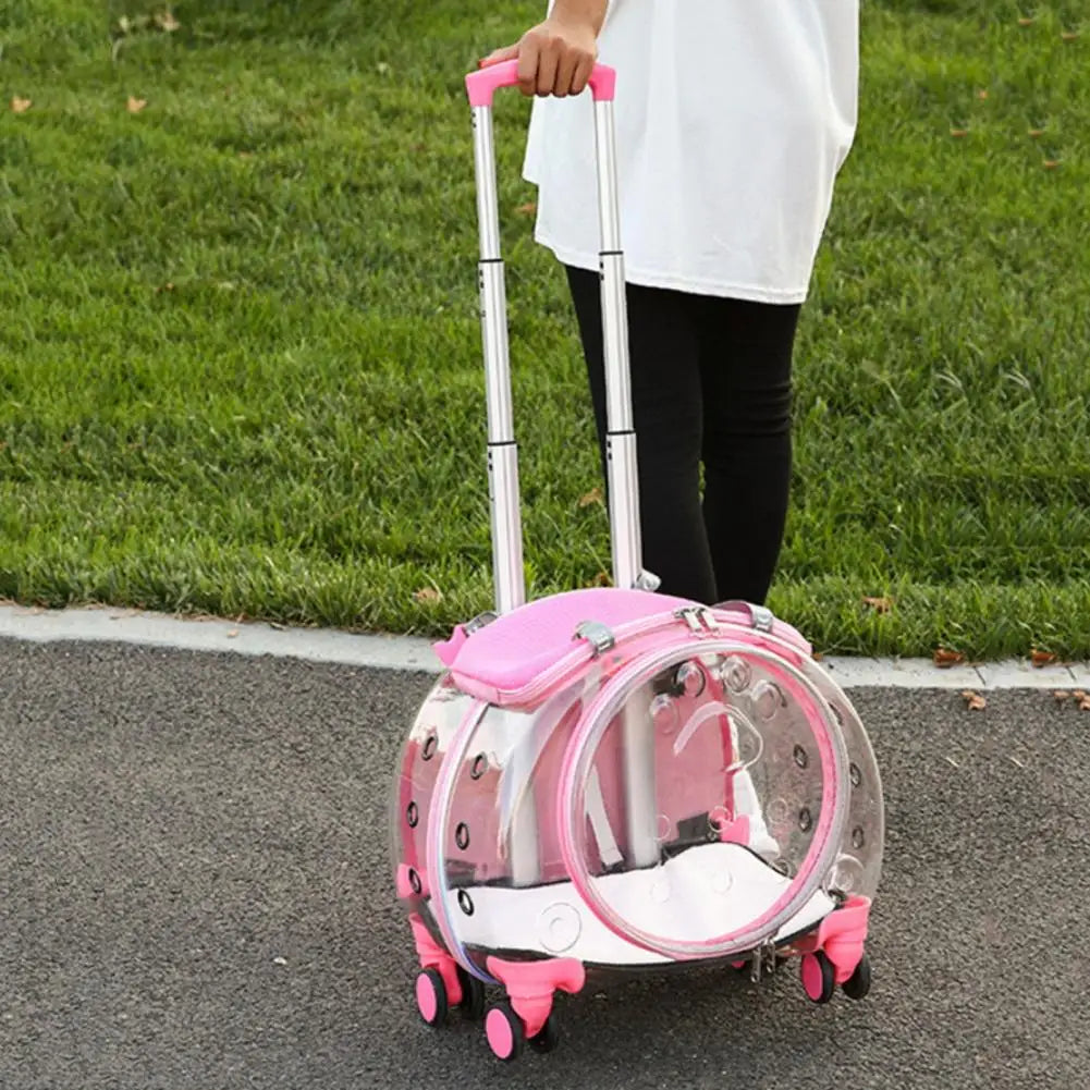 Small Pet Trolley Case with Ventilation Holes Travel Backpack