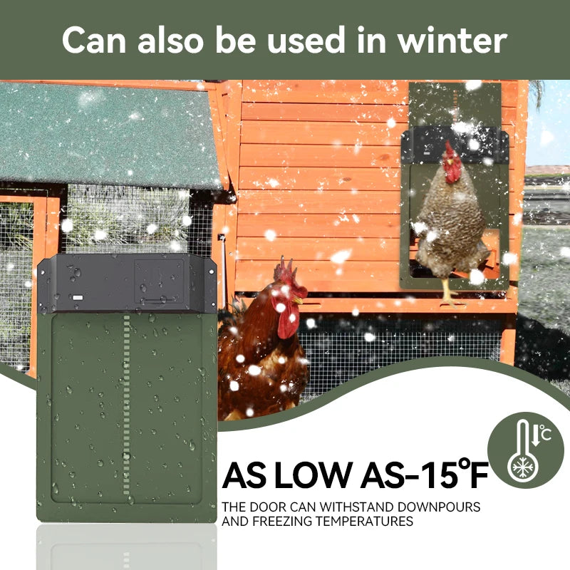 Chicken coop with a door open, showing chickens in a snowy environment, with text indicating it can be used in winter.