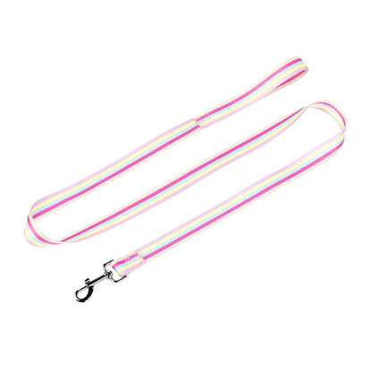 Rainbow Dog Rope Large Medium And Small, Traction Rope Snap On Pet Collar